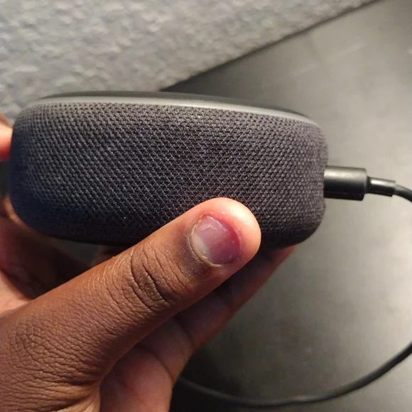 Alexa - Picture 3 of 4